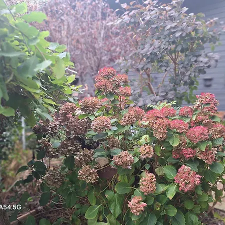 Cosy Le Relais De La Baie * Millencourt-en-Ponthieu