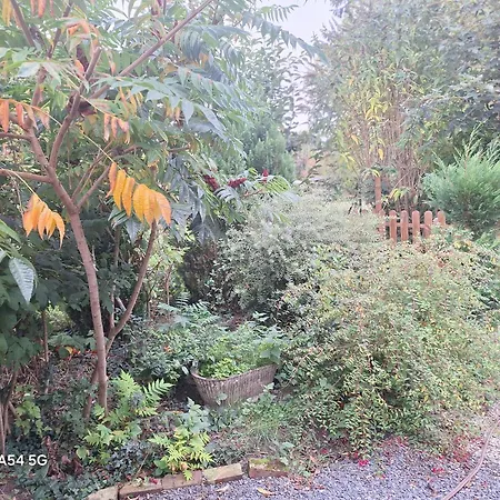 Tatil Evi Cosy Le Relais De La Baie